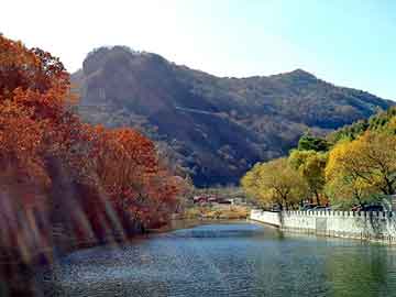 新澳天天开奖资料大全旅游团，苯酐